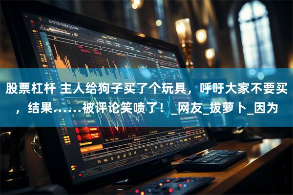 股票杠杆 主人给狗子买了个玩具,呼吁大家不要买,结果……被评论笑喷了!_网友_拔萝卜_因为