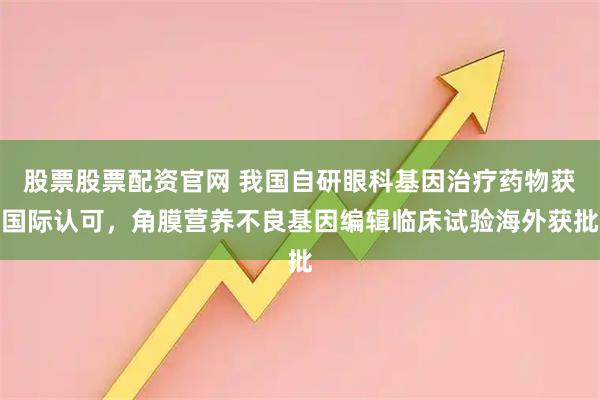 股票股票配资官网 我国自研眼科基因治疗药物获国际认可,角膜营养不良基因编辑临床试验海外获批