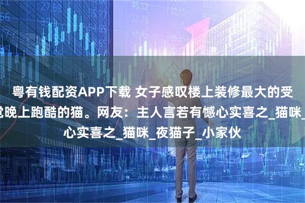 粤有钱配资APP下载 女子感叹楼上装修最大的受害者是白天睡觉晚上跑酷的猫。网友:主人言若有憾心实喜之_猫咪_夜猫子_小家伙